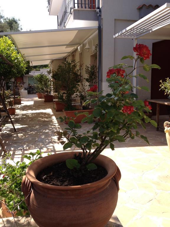 Il Giardino Dei Limoni