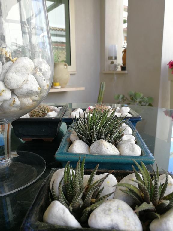 Il Giardino Dei Limoni Bed & Breakfast