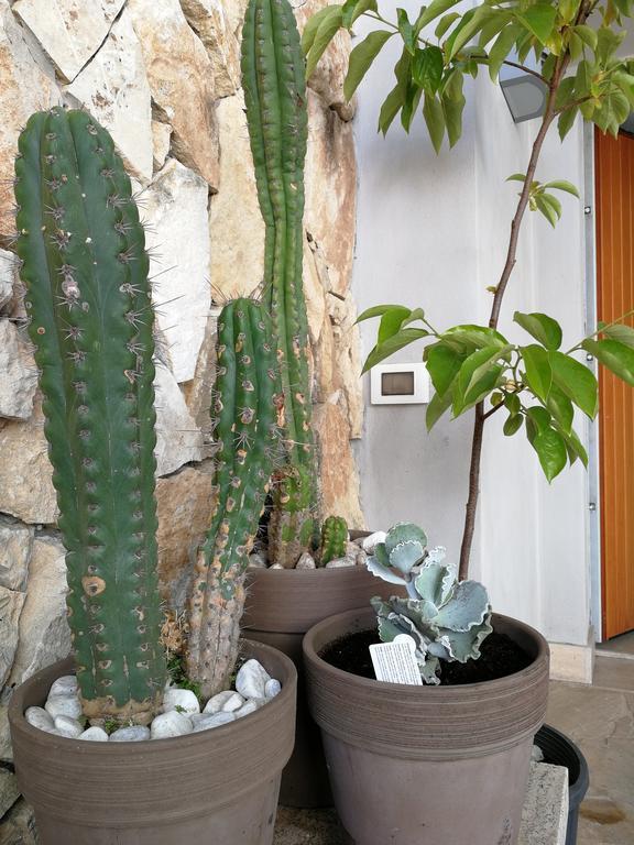 Bed & Breakfast Il Giardino Dei Limoni 3*