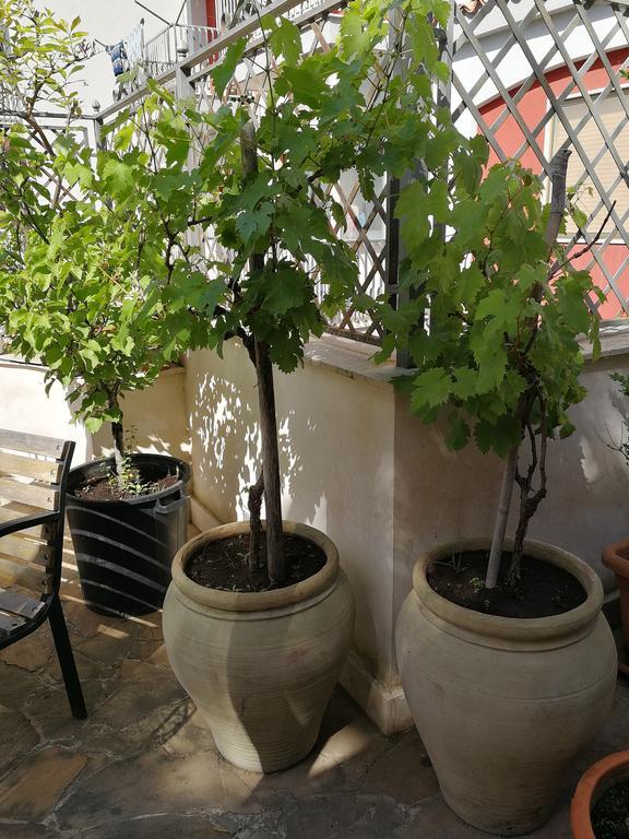 Il Giardino Dei Limoni Bed & Breakfast 3*