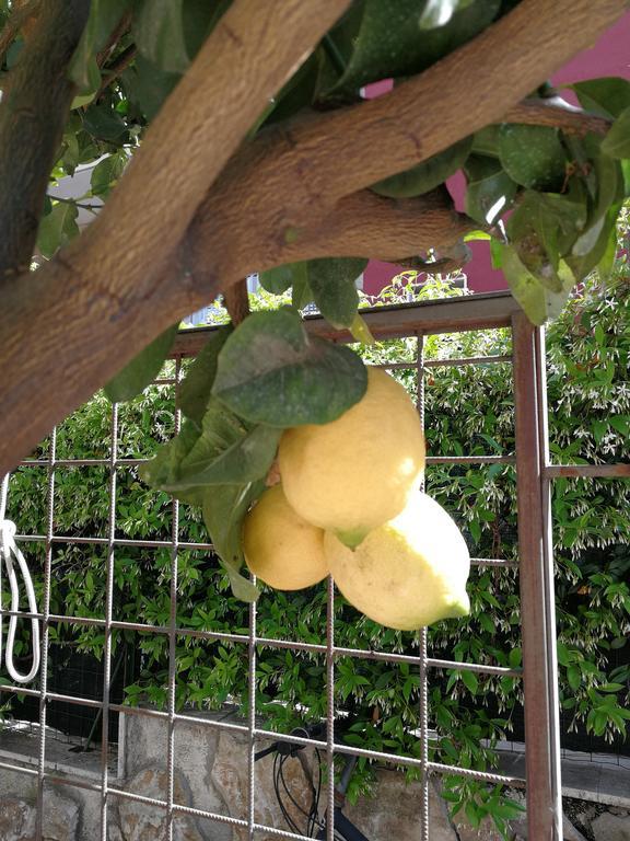 Bed & Breakfast Il Giardino Dei Limoni 3*